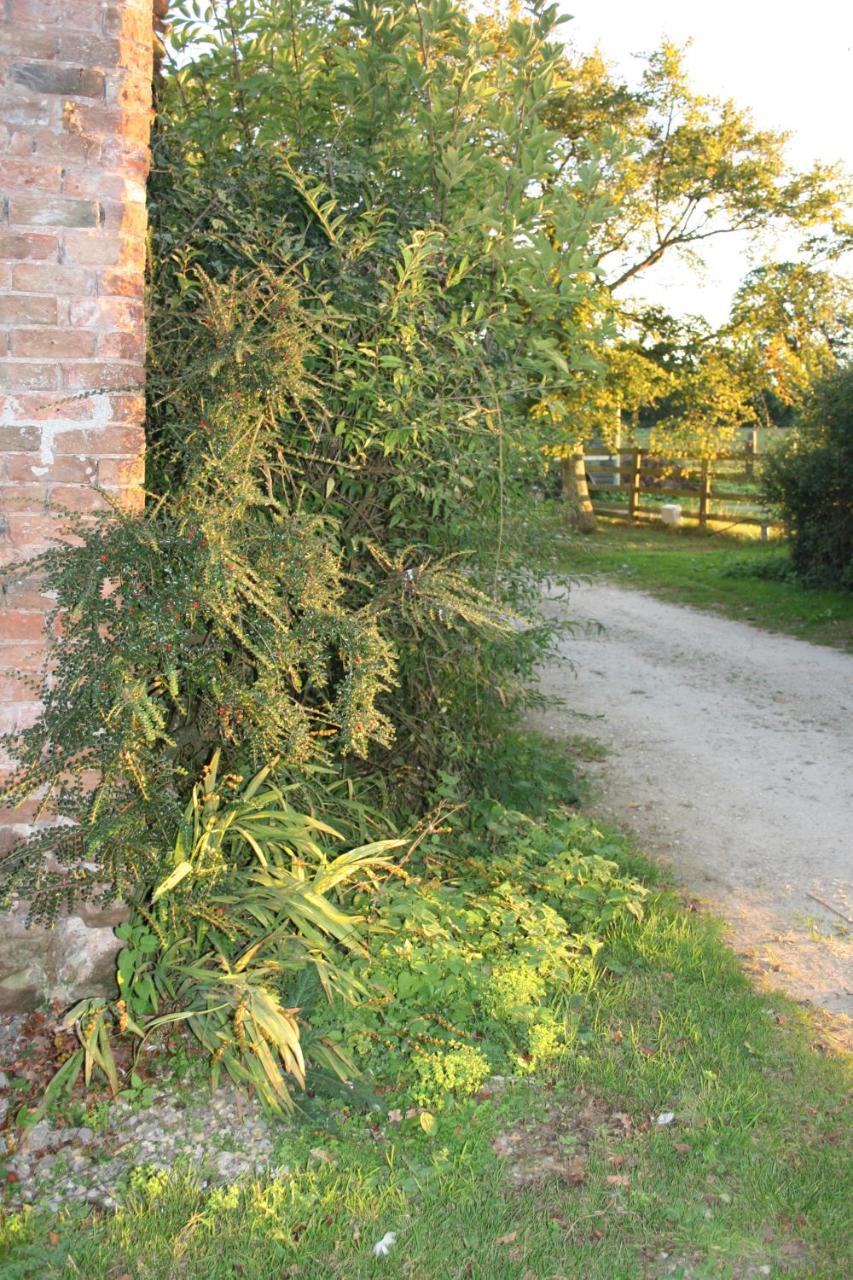 Greenway Farm Bed & Breakfast Bridgwater Exterior photo